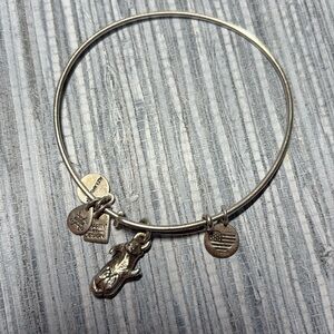 ALEX & ANI OTTER 🦦 💗BRACELET